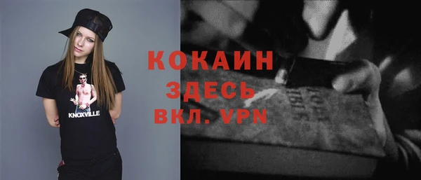 твердый Алексеевка